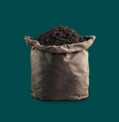 gadamwvari-nakeli-tomara