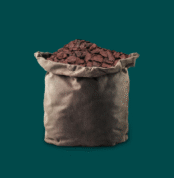 pemza-tomara